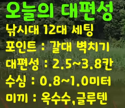 배치된 채비와 미끼