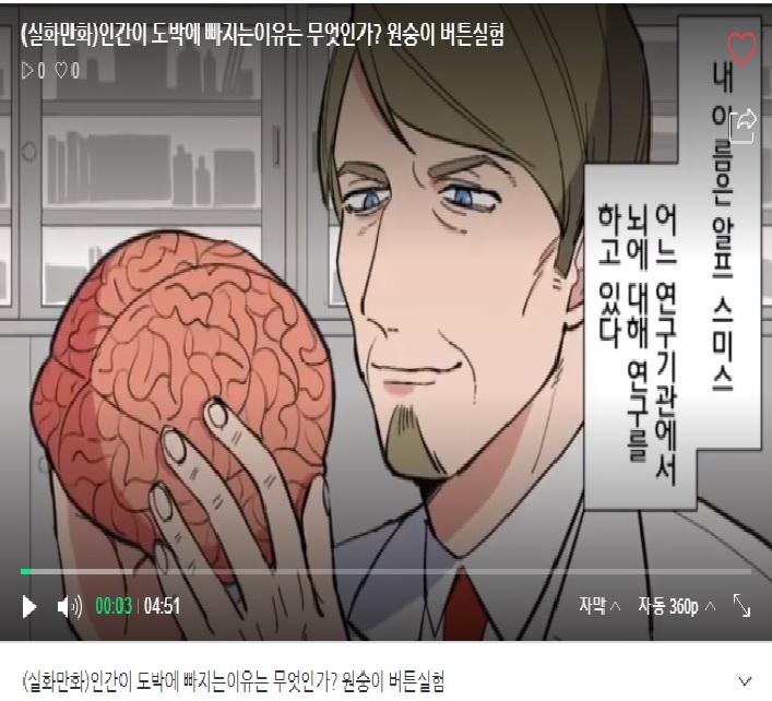  (실화만화)인간이 도박에 빠지는이유는 무엇인가? 원숭이 실험