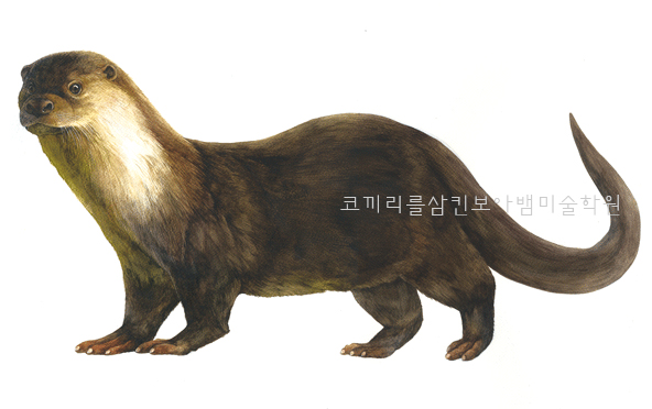  청담동 삼성동 미술학원 예중예고입시 - 수채화 연습