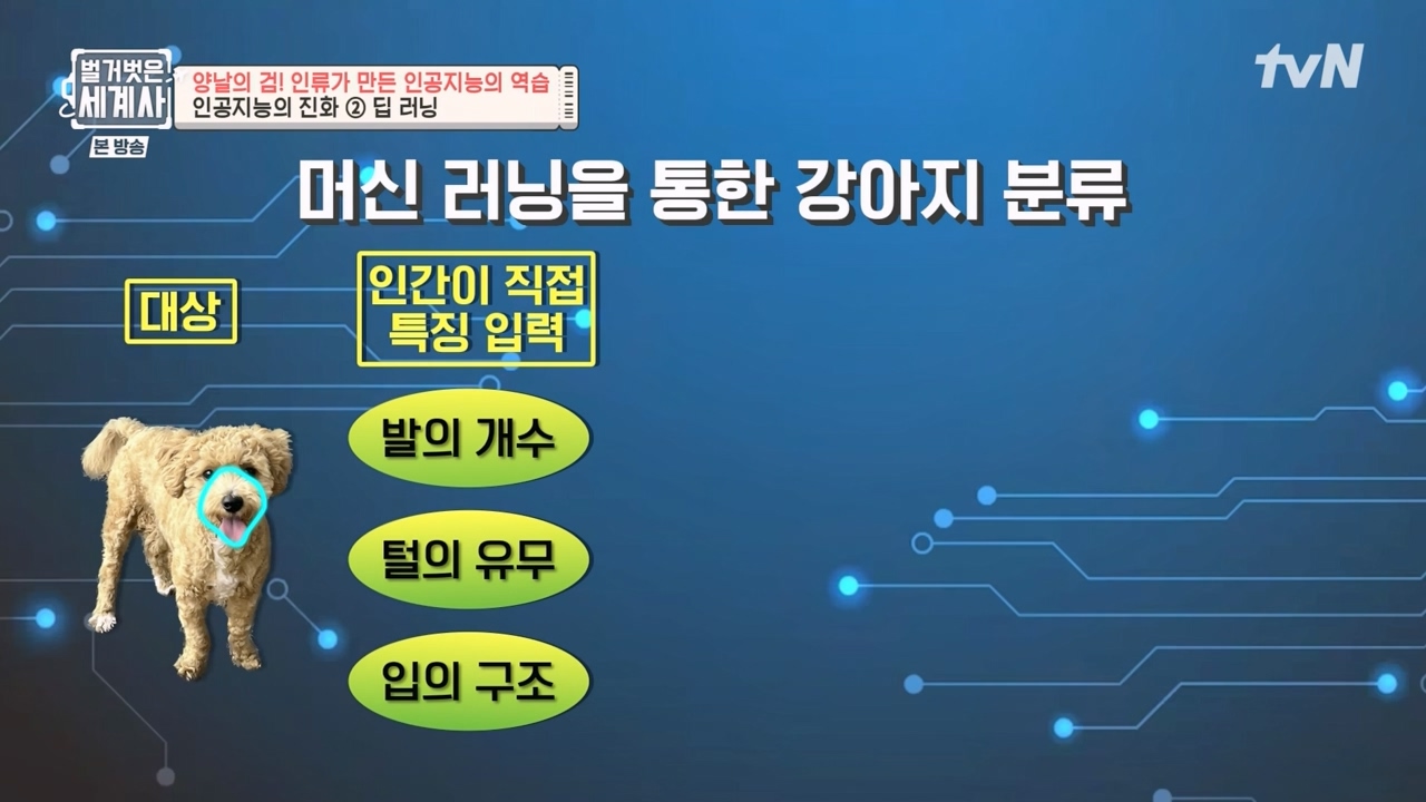 벌거벗은 세계사.E107.230712p-NEXT.mp4_20240210_212841.799.jpg