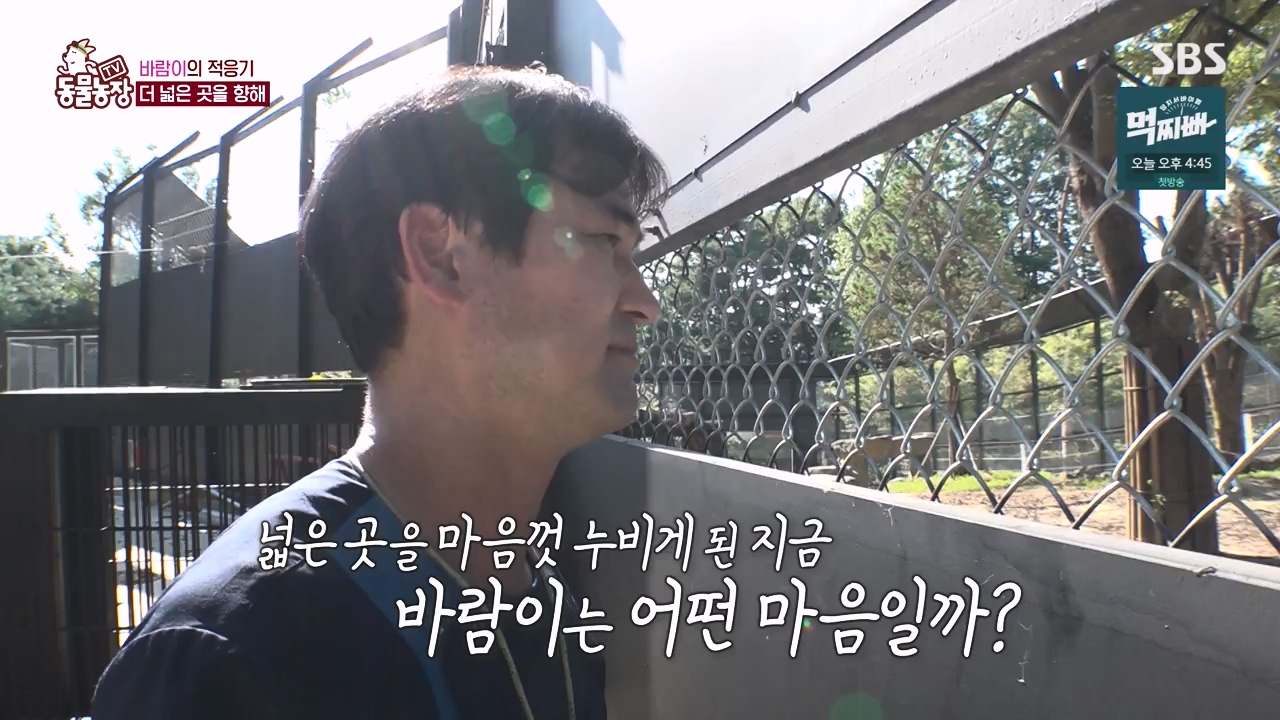 TV 동물농장.E1140.231009p-NEXT.mp4_20231008_174829.320.jpg