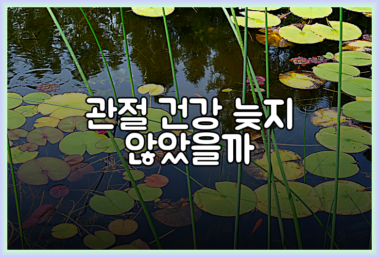 관절 건강 늦지 않았을까