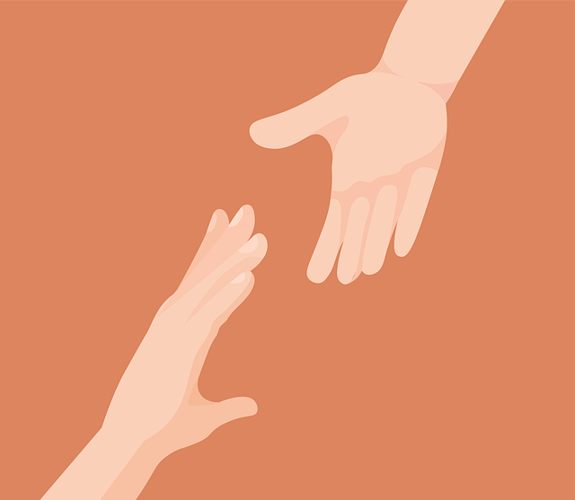말티즈 [분양가격, 평균수명, 성격 정보]