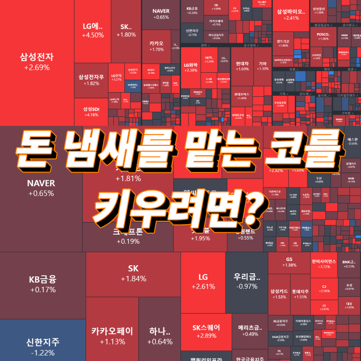 주식-초보-팁-종목-공부-방법
