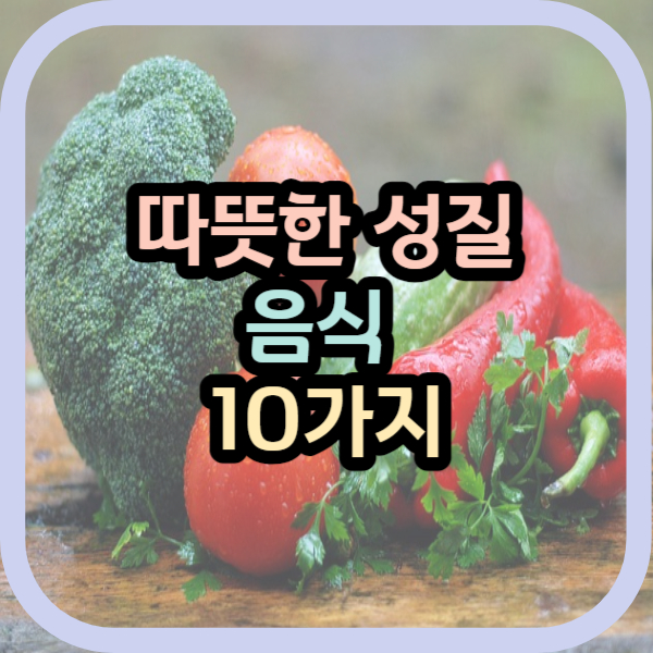 따뜻한 성질 음식 10가지 추천