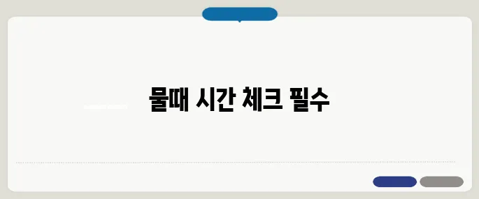 제부도 물때시간표 확인 갯벌 체험 전 필수 체크