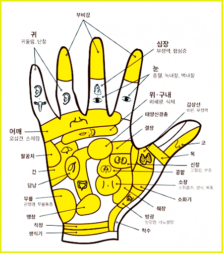 손바닥증상별 지압 혈자리 