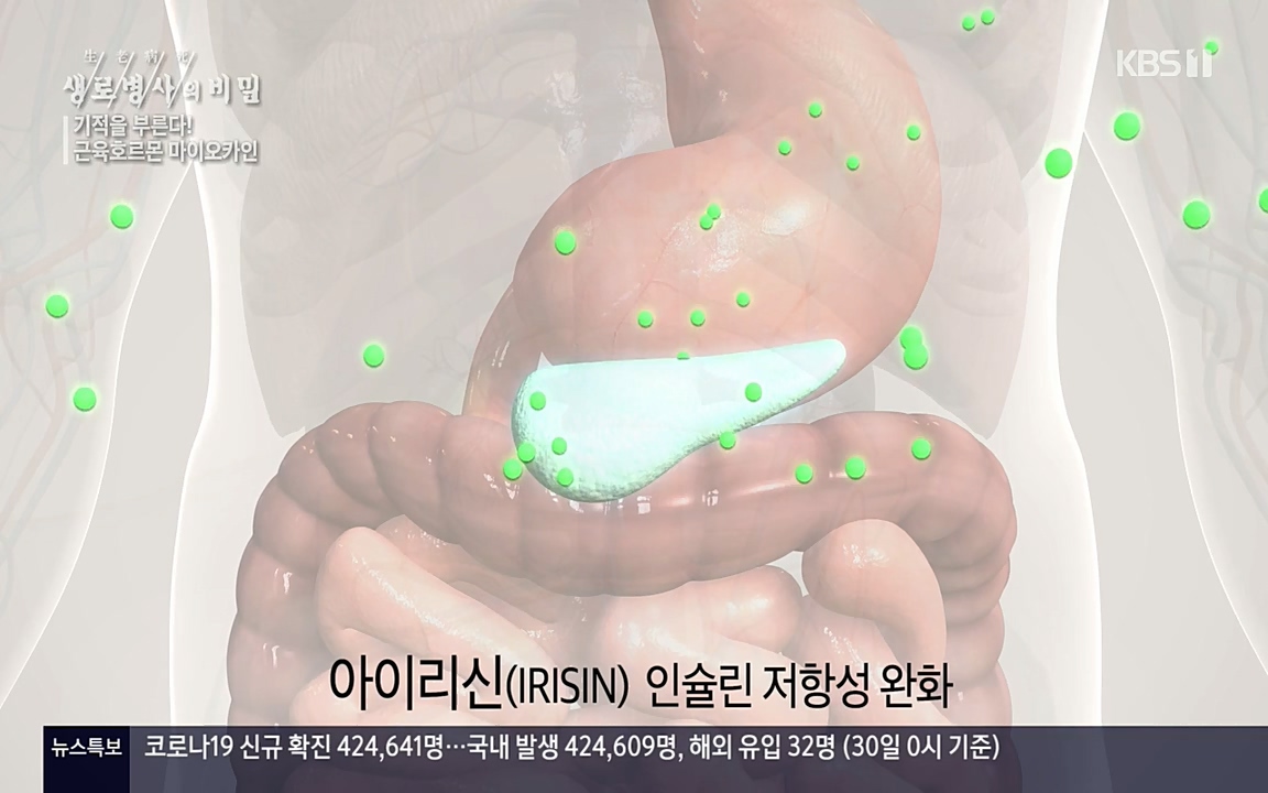 생로병사의 비밀.E816.220331p-NEXT.mp4_20220331_185202.202.jpg