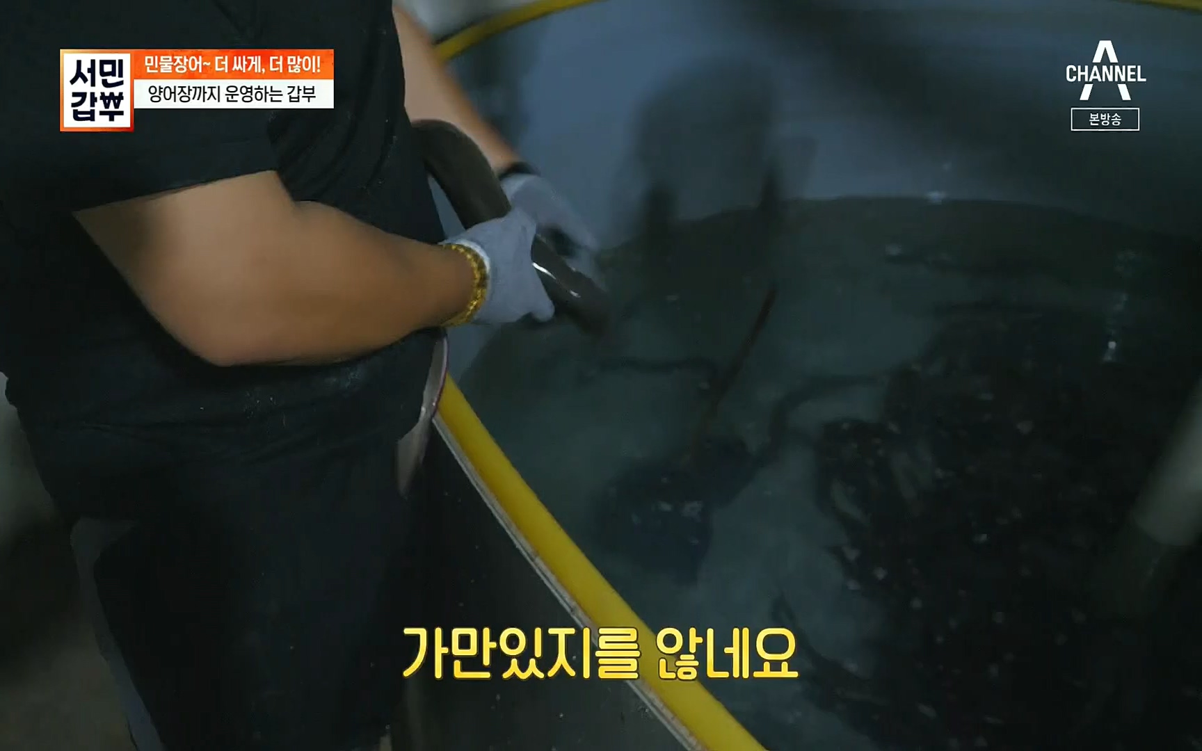 서민갑부.E396.220813p.H264-F1RST.mp4_20220814_172707.554.jpg