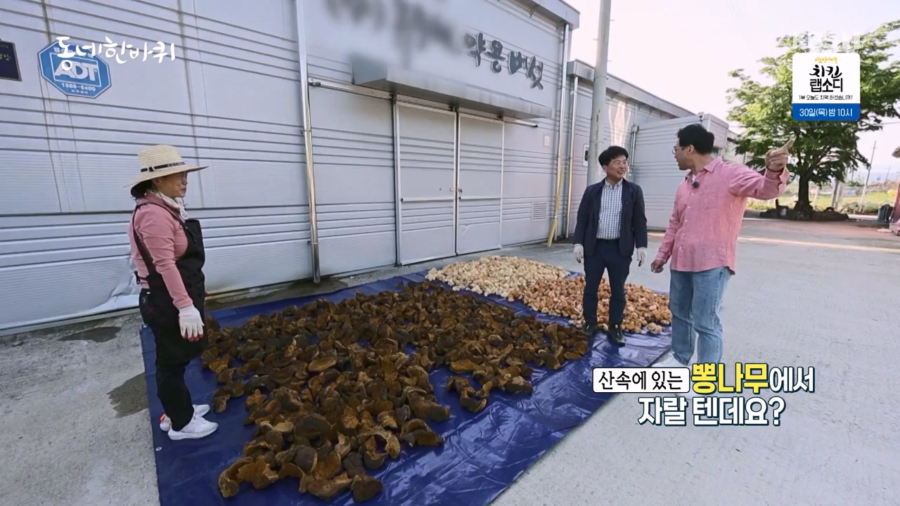 동네 한 바퀴.E275.240526p-NEXT.mp4_20240526_162426.428.jpg