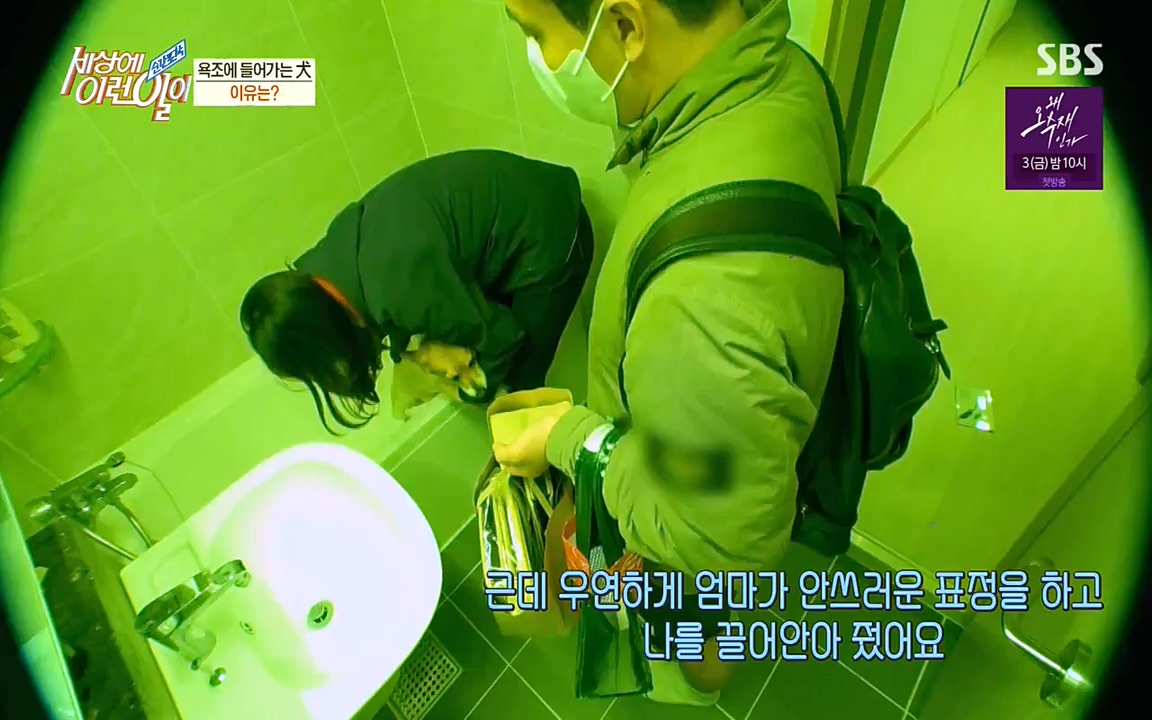 순간포착 세상에 이런일이.E1181.220525p-NEXT.mp4_20220525_202541.745.jpg