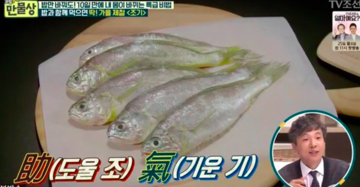 사람과 기(氣) 식품 이미지