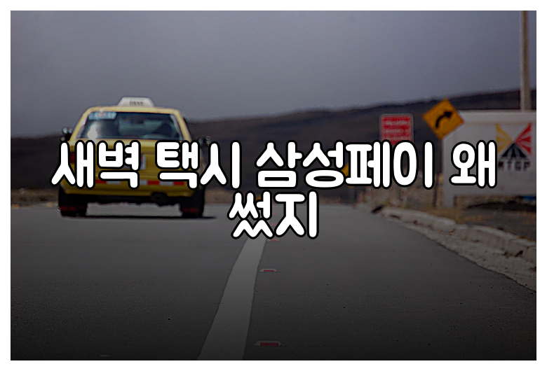 새벽 택시 삼성페이 왜 썼지