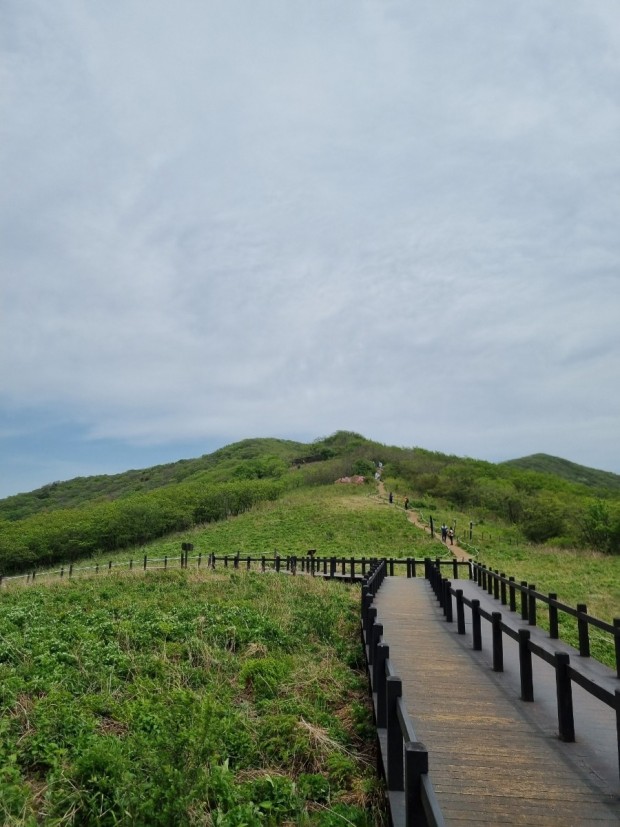 곰배령 이미지