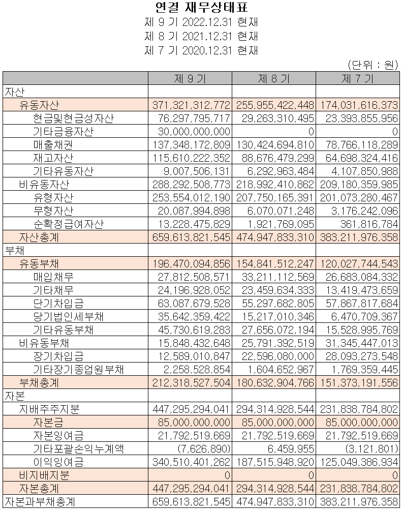 해성디에스 - 재무상태표