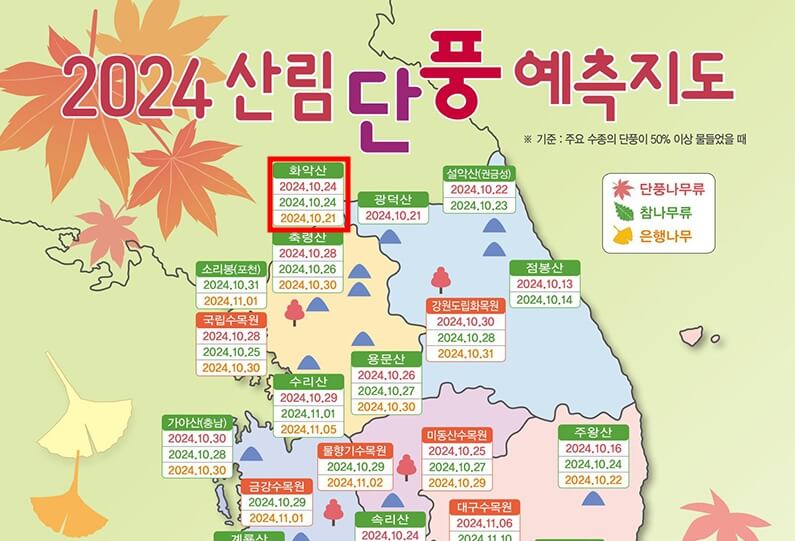 화악산-단풍-구경