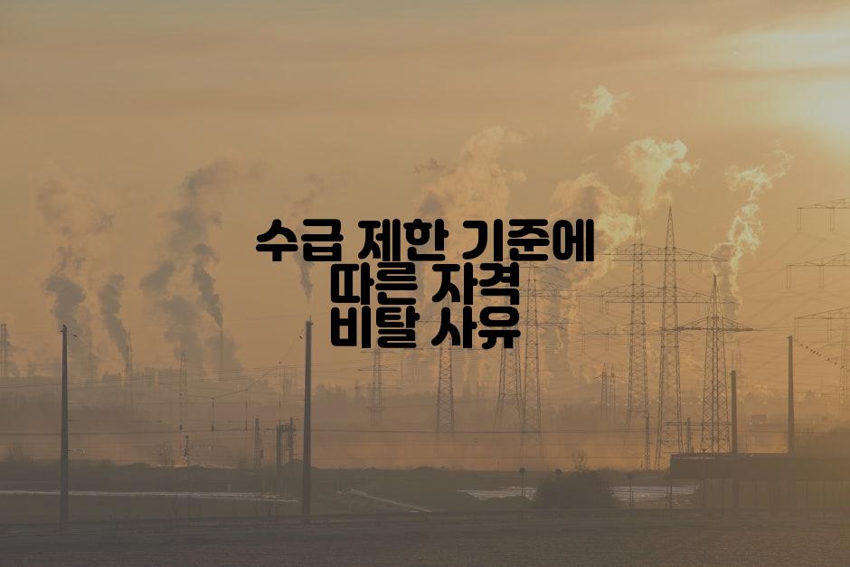 수급 제한 기준에 따른 자격 비탈 사유