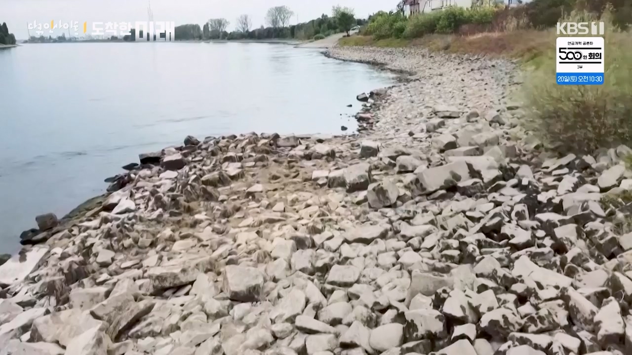 다큐 인사이트.E185.240419p-NEXT.mp4_20240420_161120.934.jpg