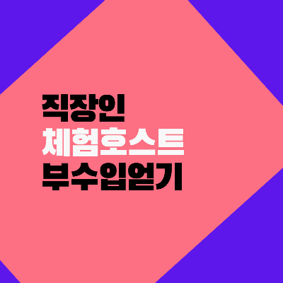 직장인 부수입 체험호스트 60만원 번 사연