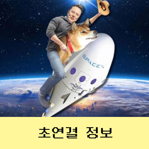  도지코인 시세와 전망