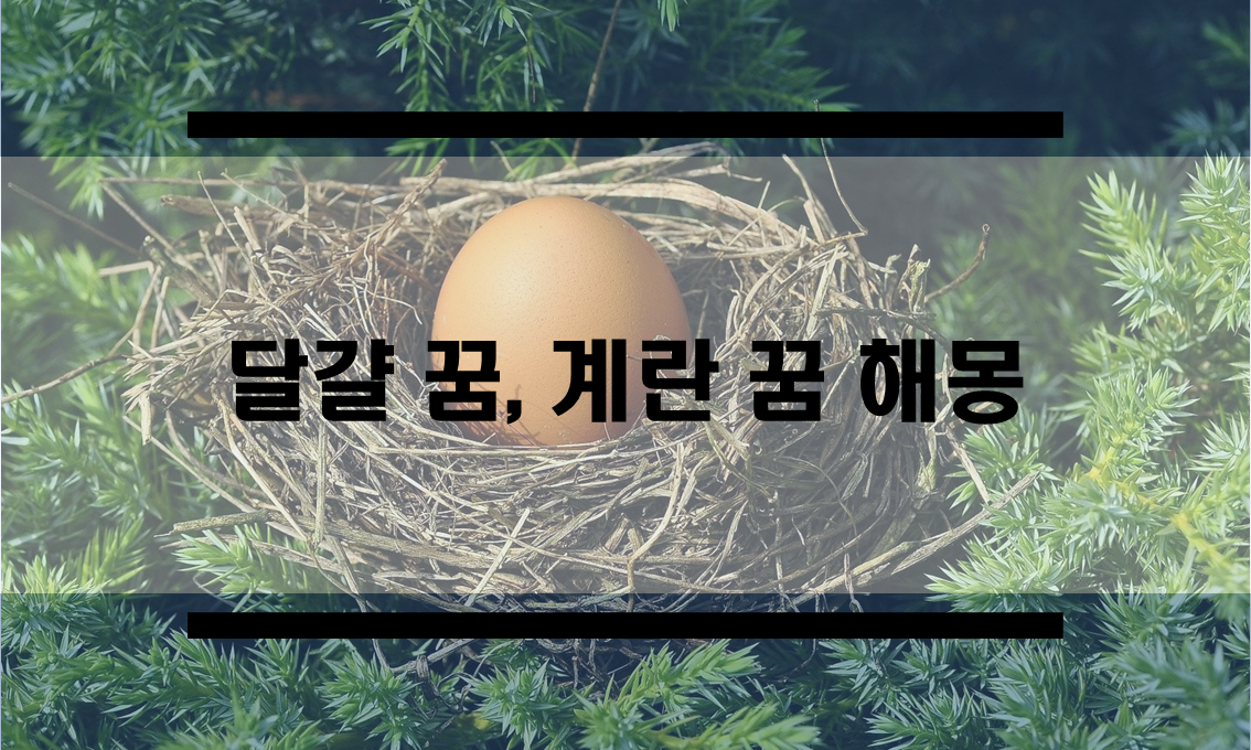  달걀꿈, 계란꿈 해몽 모음