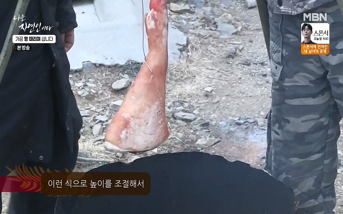 나는 자연인이다.E493.220317p-NEXT.mp4_20220317_172925.281.jpg
