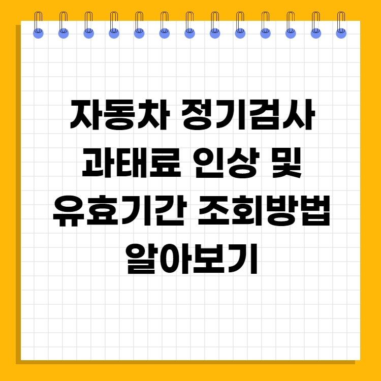  자동차 검사 과태료 인상 및 유효 기간 조회 방법 알아보기