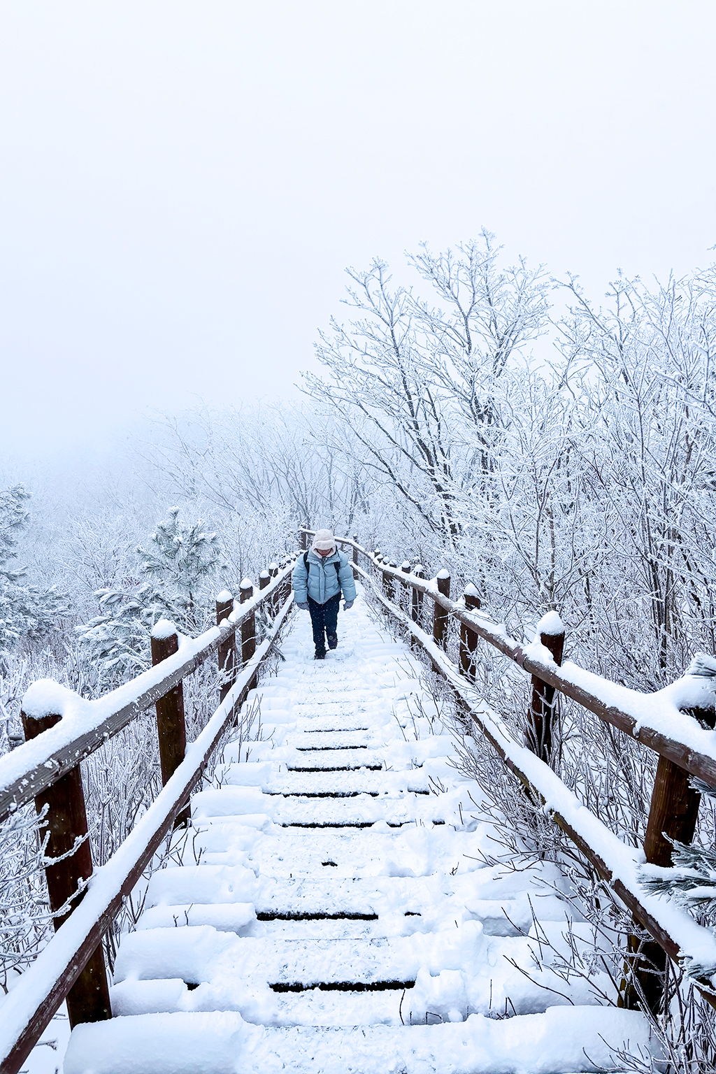 소백산국립공원 삼가동코스 이미지