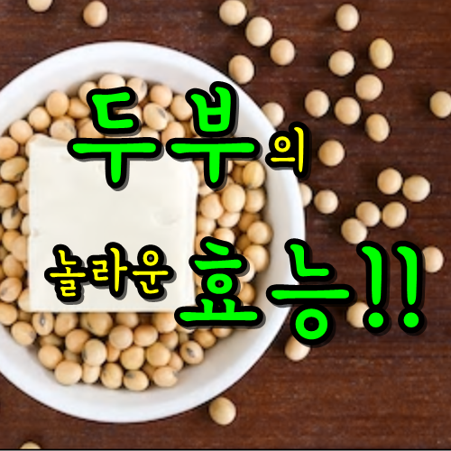  두부의 놀라운 효능_보관법부터 효능까지 총정리/bean curd