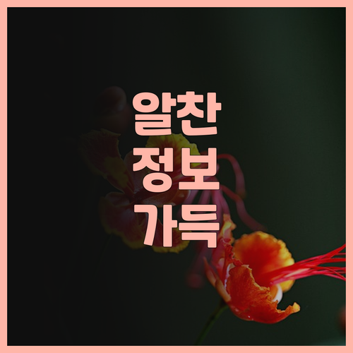 콤웰 로스킬데 호텔, 로스킬데 최고의