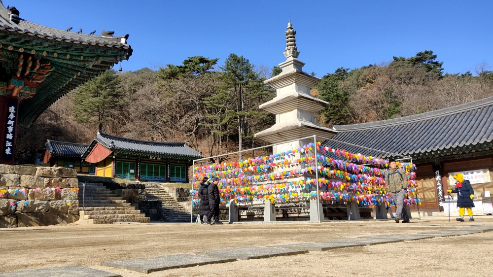  치악산 구룡야영장 <1> 구룡사 탐방