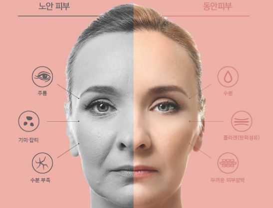  비타민C와 콜라겐을 같이 먹어야 하는 이유