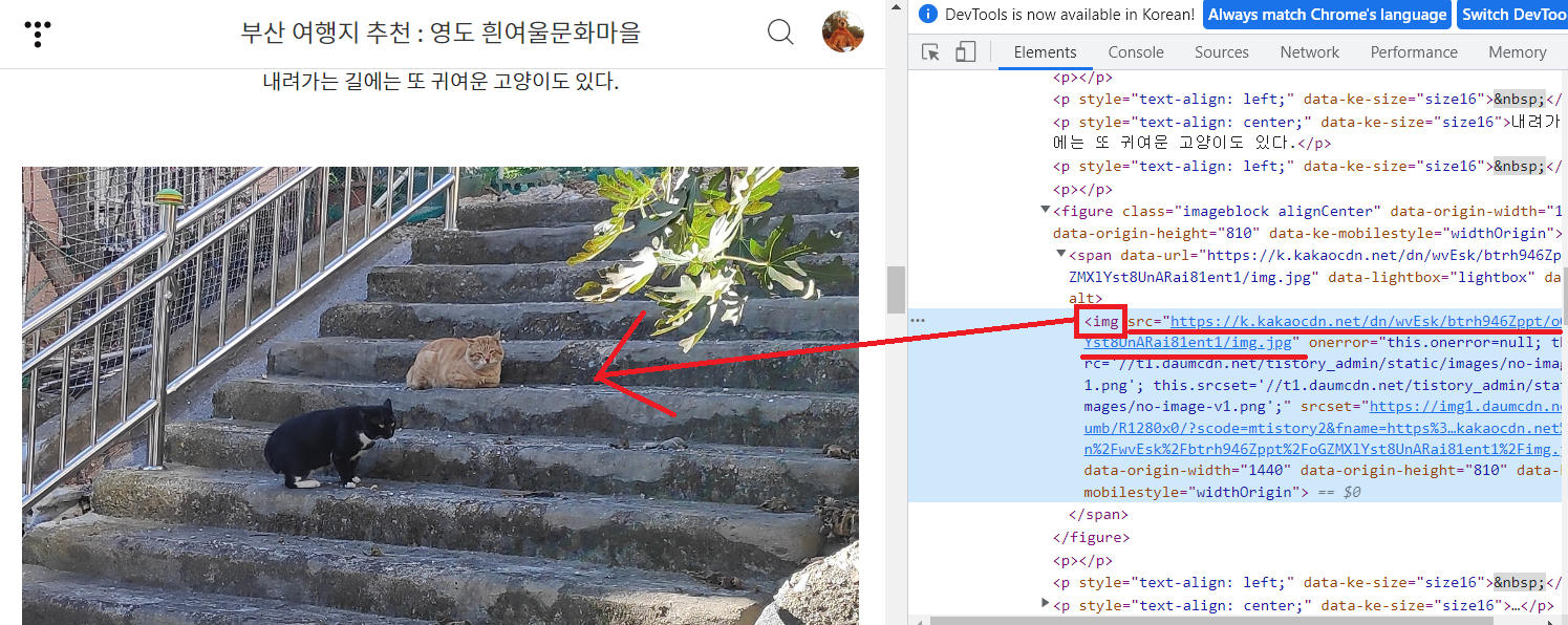 파이썬(Python) 크롤링으로 티스토리 백업하기-6
