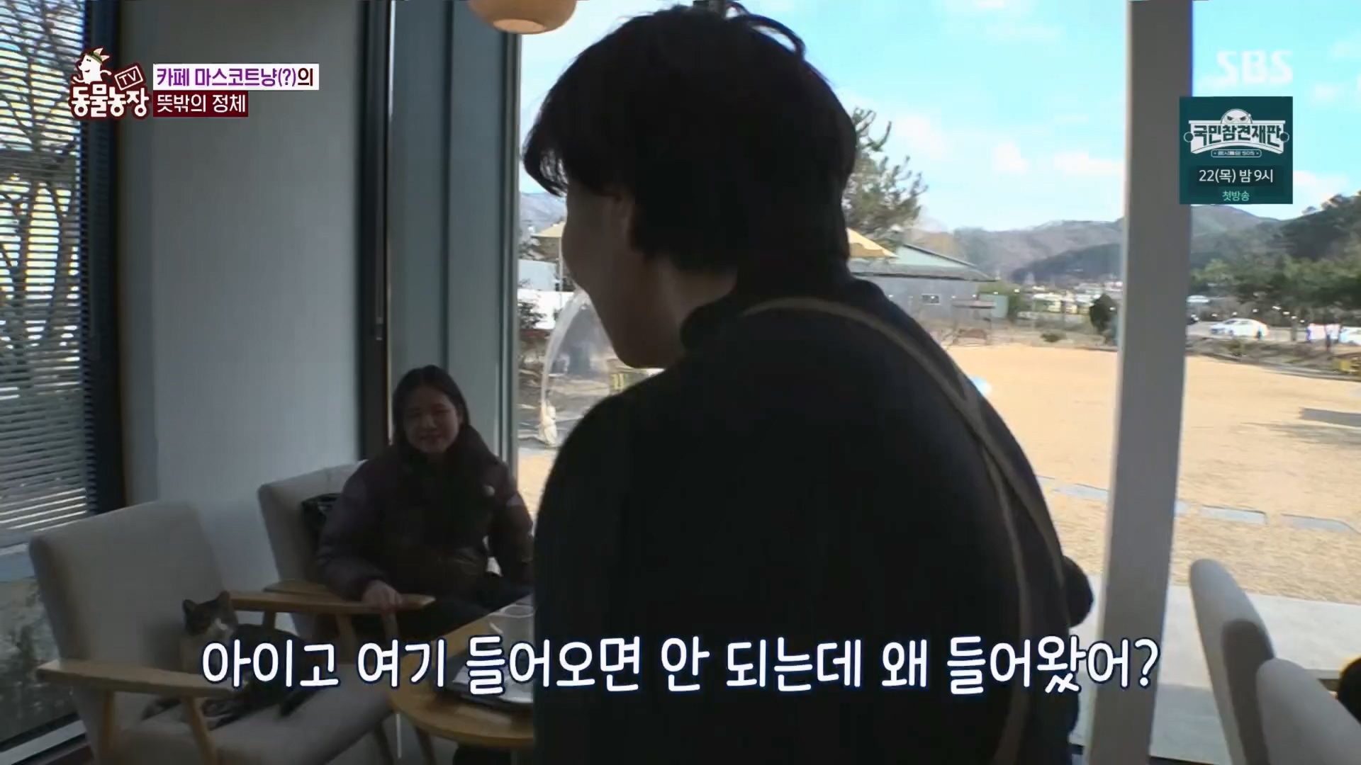 TV 동물농장.E1159.240218p.H264-F1RST.mp4_20240218_170004.354.jpg