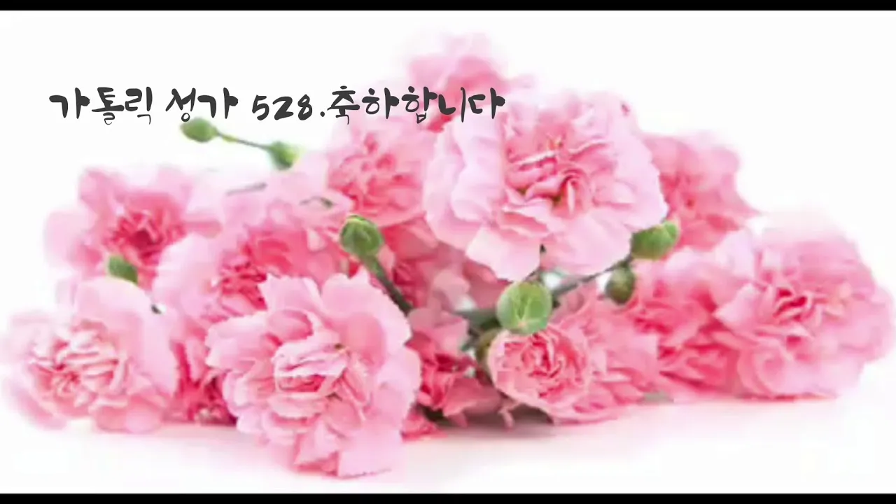 가톨릭 축일 대축일 전례력 의미 시기_2
