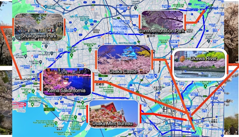 오사카 벚꽃 축제 지도
