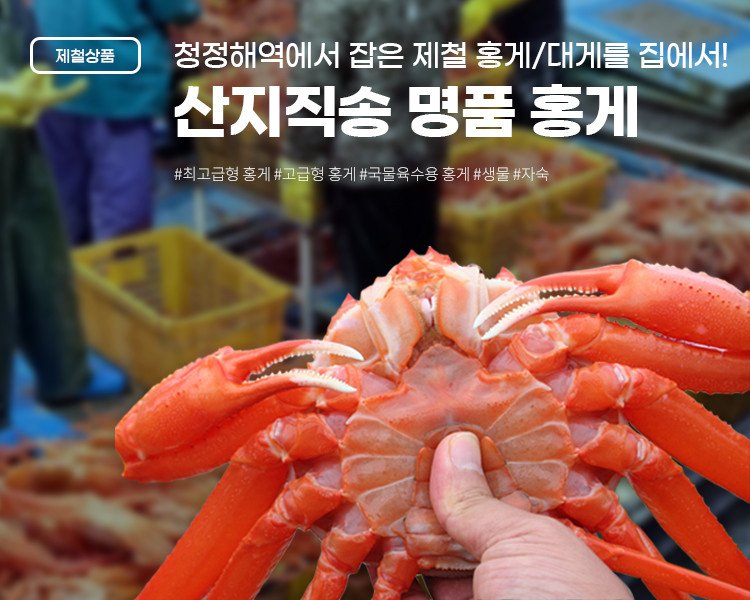  [제철대게/홍게]청정해역에서 산지직송 명품대게