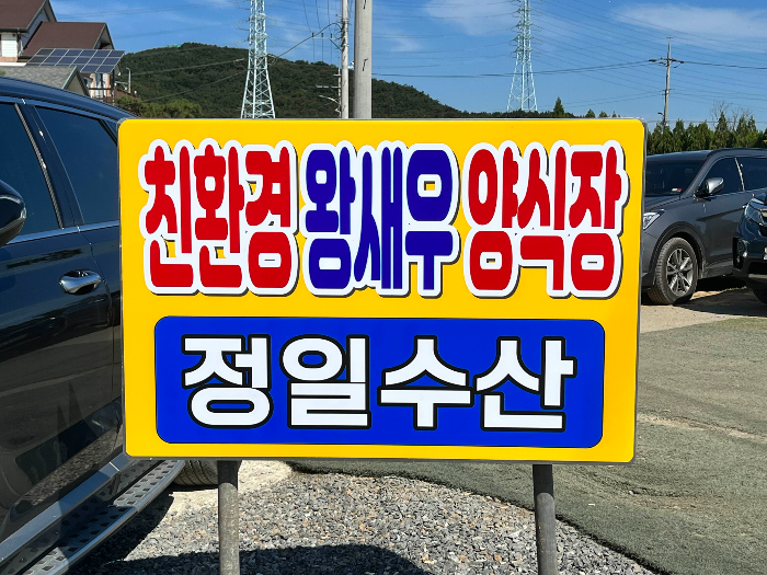 친환경 왕새우 양식장