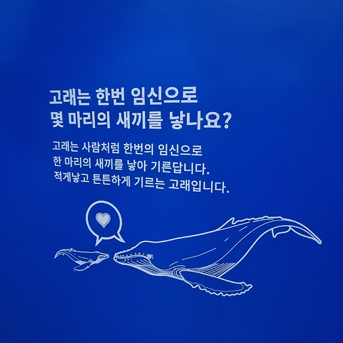 장생포고래박물관