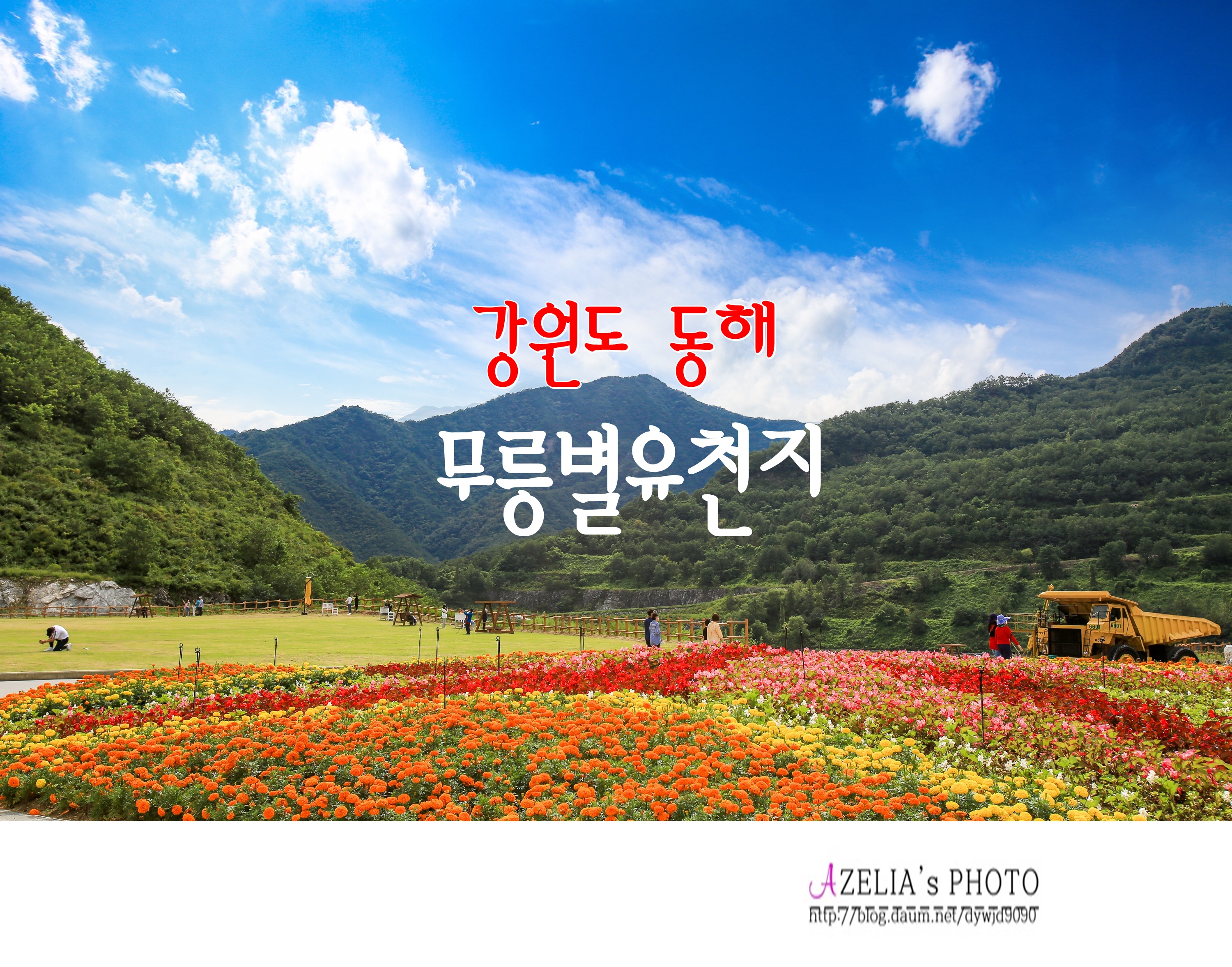 무릉이가 이미지