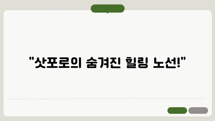 삿포로 지역 열차 여행, 이 노선 타지 않으면 힐링 놓칩니다!