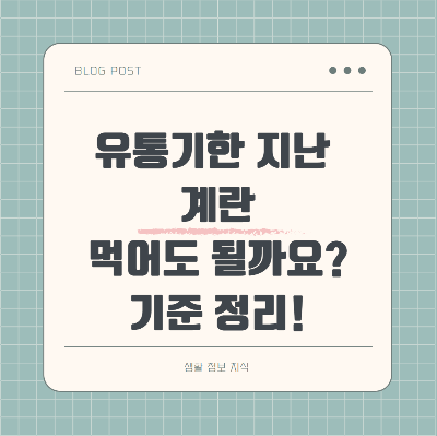 유통기한이 지난 계란을 먹어도 되는지 판단하는 기준과 보관 상태에 따른 섭취 가능 여부를 설명한 요약 이미지