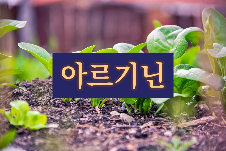  아르기닌(arginine)