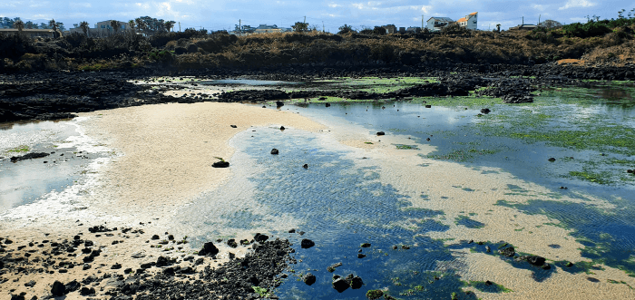 도로를 중심으로 바다 반대편에 가두어진 바다 웅덩이 모습
