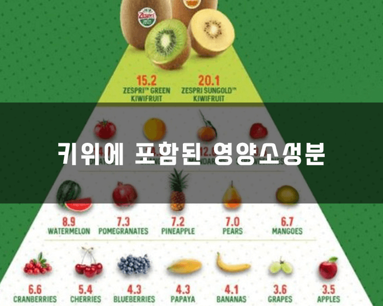 키위에 포함된 영양소 - 비타민c,e칼륨,펙틴,구연산 등