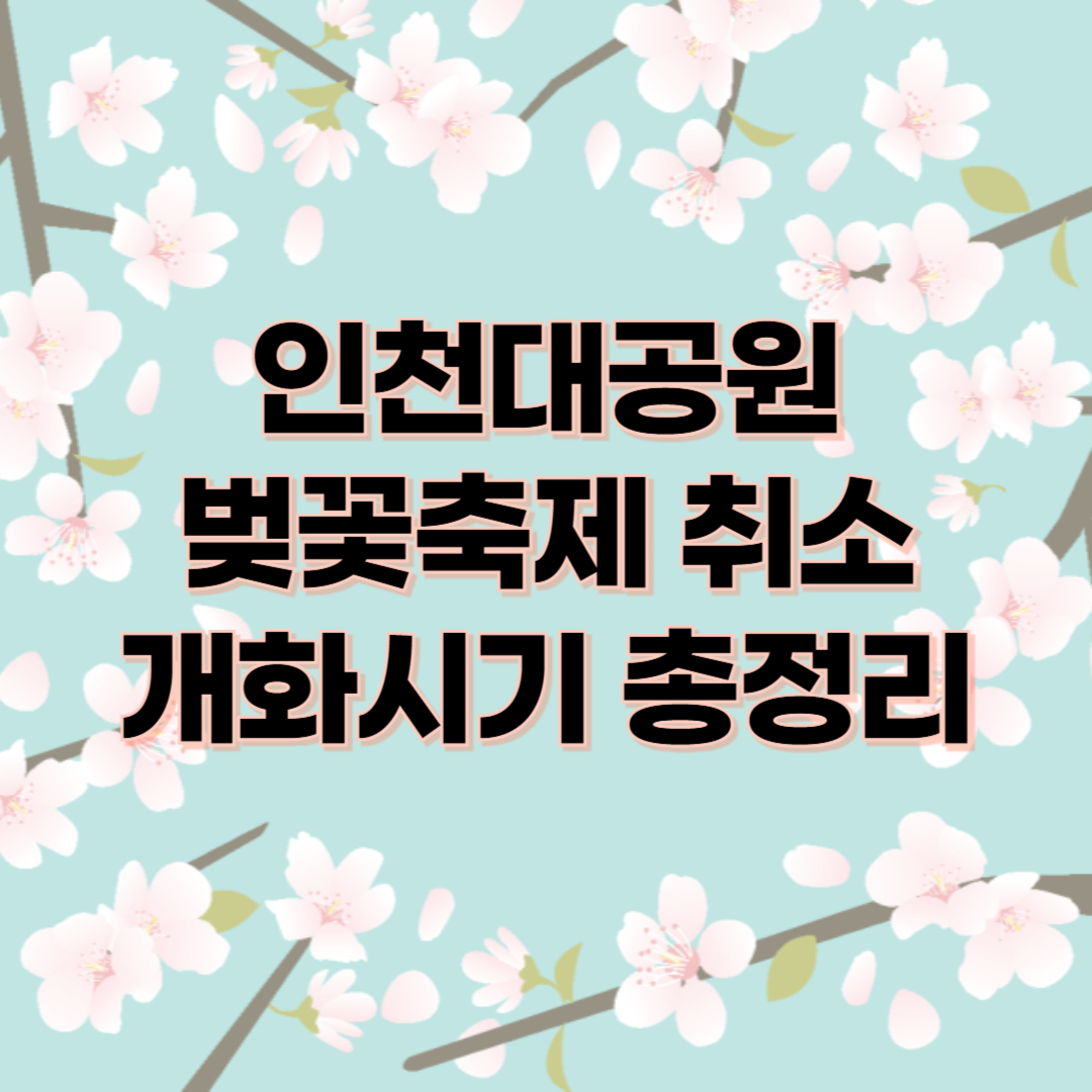 인천대공원 벚꽃 축제 취소, 2025 개화시기 총정리