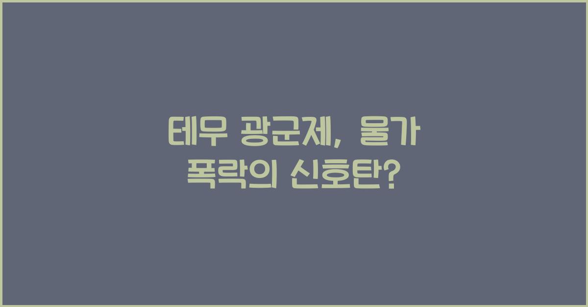 테무 광군제