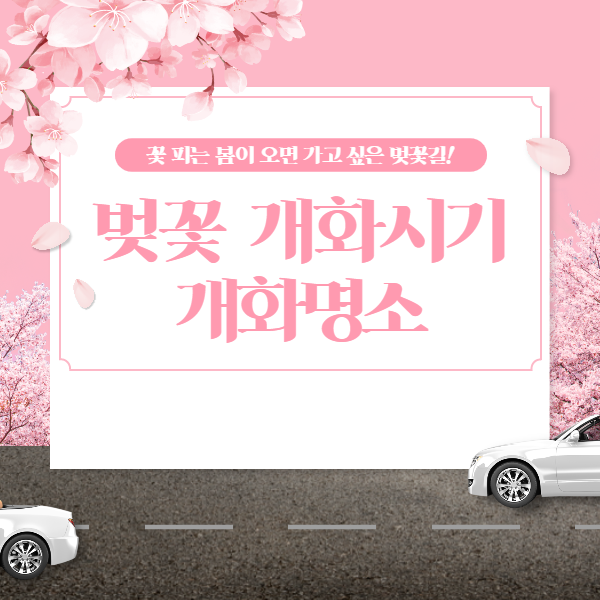  2022 지역별 벚꽃 개화시기와 명소 추천해드립니다