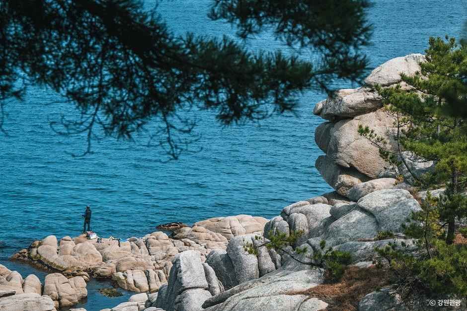 고성 가볼만한곳 베스트10