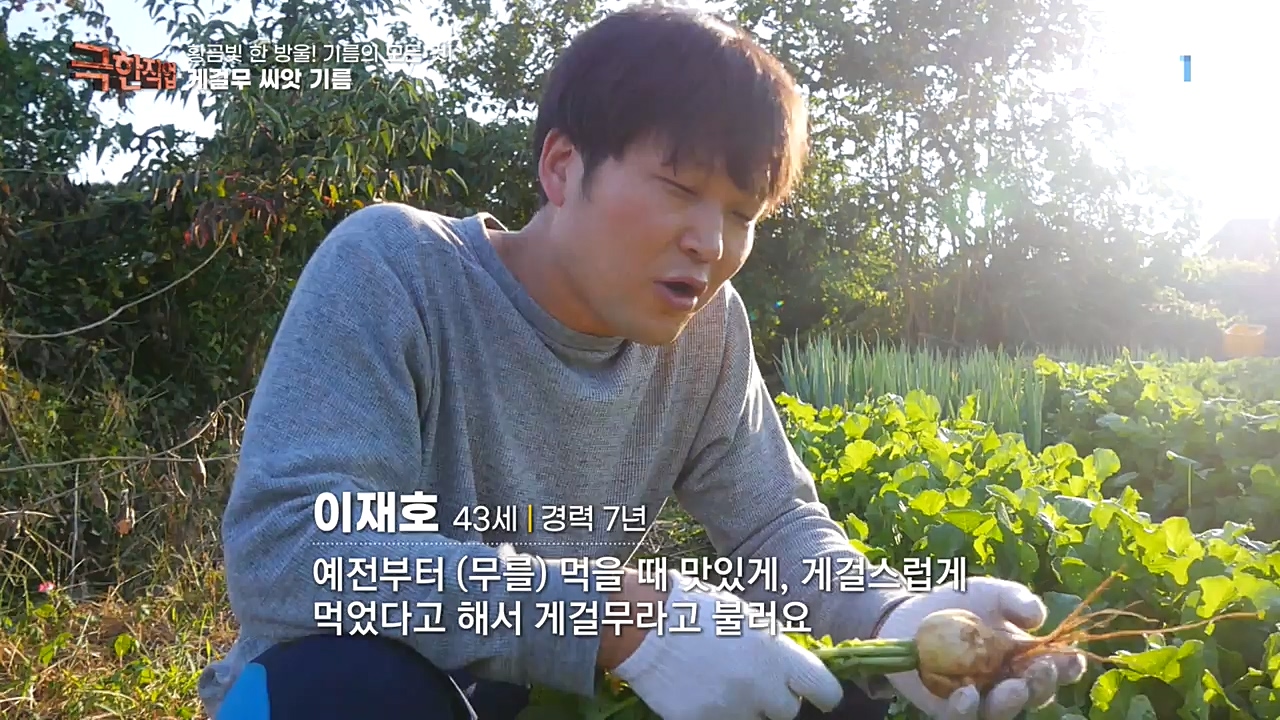 TV - 교육의 중심 EBS황금빛 한 방울! 기름의 모든 것!.mp4_20221031_191547.227.jpg